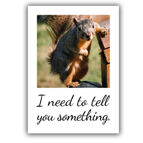 Funny squirrel need to - squirrel,